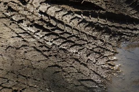 Tyre tread pattern in mud Stock-Fotos