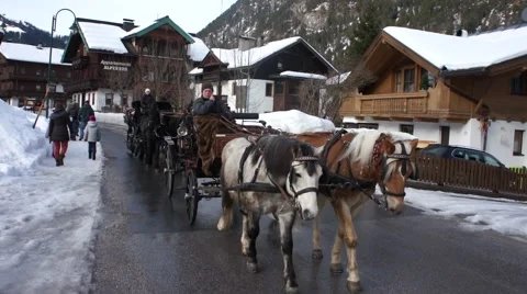 Tyrol horses Stock Footage 45450488