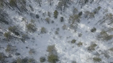 Tyumen Stock Footage 118143466