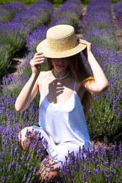 U  1219 Stock Photos