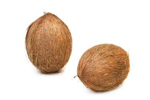 U  1864= Stock Photos