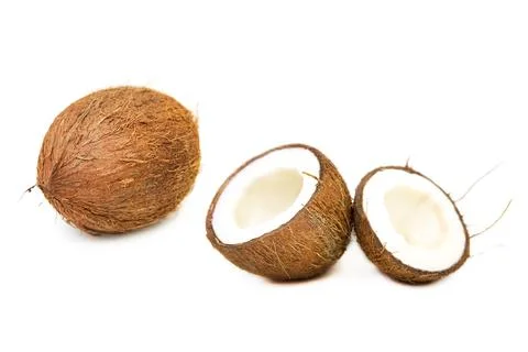 U  1864- Stock Photos