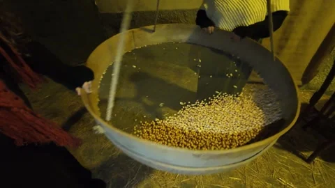 U crivu an ancient tool to sift the flour and separate it from unfiltered waste 스톡 동영상 297586994