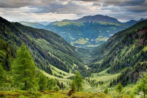 U-shaped valley with forests and meadows Carnic Alps Austria Stock Photos