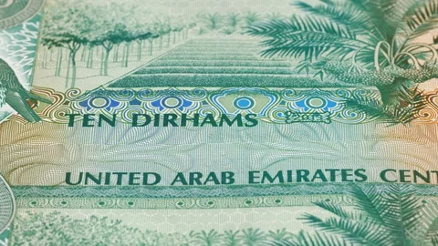 UAE 10 dirham notes tracking. Emirates money. Slider shot, low angle. 4K Stock Footage 125990660