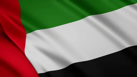 UAE 3d waving flag for flag day and national day. Seamless 4K. Stock Footage 134646781