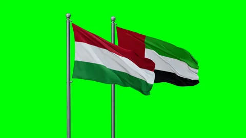 UAE and Hungary two flags Stock Footage 291183375