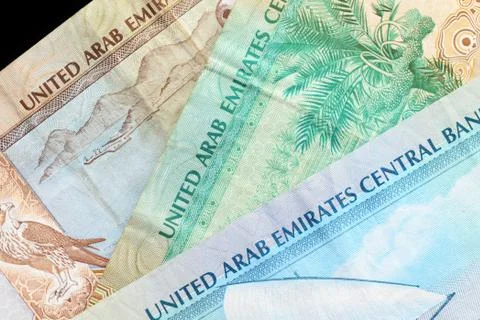 UAE dirham currency notes on a dark background close up Foto stock