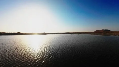 UAE Duck Lake 1 Stock Footage 320842022