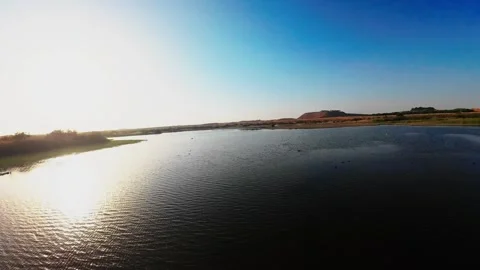 UAE Duck Lake 2 Stock Footage 320842019
