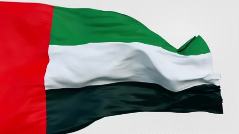 UAE Flag on Alpha Channel Stock Footage 254480236