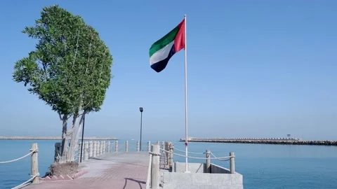 Sharjah Flag Stock Video Footage | Royalty Free Sharjah Flag Videos | Pond5