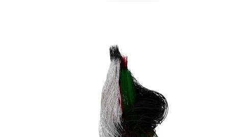 UAE flag colors dance animation Stock Footage 151162010