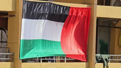 Uae flag 스톡 동영상 323730172
