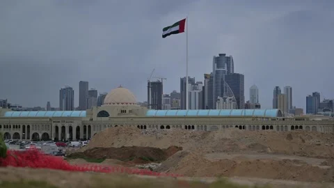 UAE FLAG 動画素材 332684227