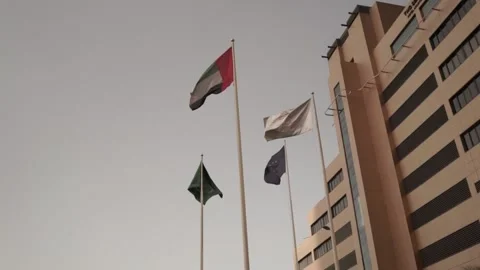Uae flag in front of building Stock Footage 145846578