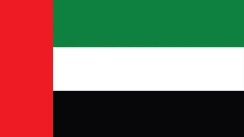Uae flag 스톡 일러스트