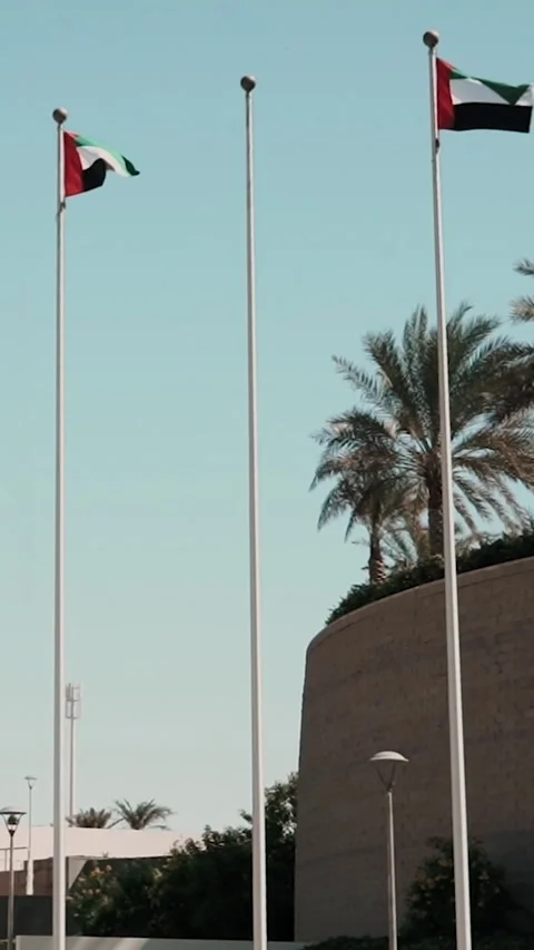 UAE flag with palm trees in the desert. Dubai trip and islamic culture Stock Footage 311385451