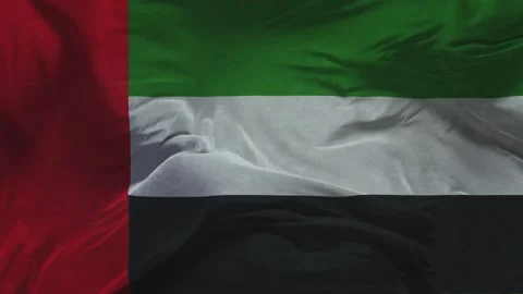 UAE  Flag Slow Motion Cloth Animation -3D Rendering Video stock 281081614