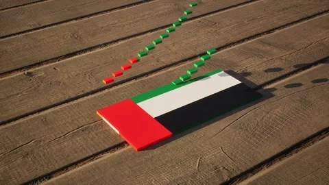 UAE Flag - Slow Motion Stock-Footage 318940875