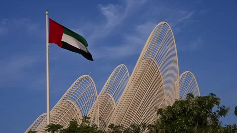 The UAE flag waves in the air against the backdrop of the Zayed National 動画素材 322787686