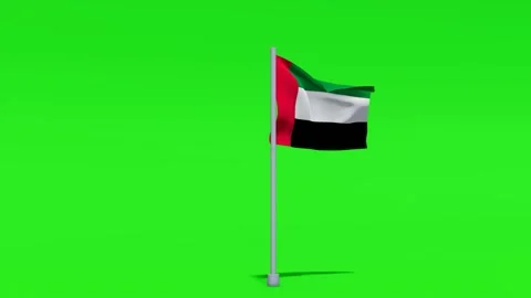 UAE Flag Waving Green Screen Stock Footage 320076952
