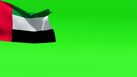 UAE Flag Waving Green Screen Stock Footage 320076957
