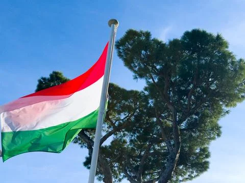 UAE flag waving in the wind on a sunny day with palm trees and blue sky in .. Stock Photos