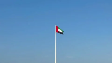 UAE flag in the wind Stock Footage 256593205
