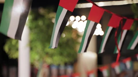 Uae flags hanging Stock Footage 158852533