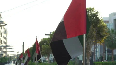 UAE flags on the street Stock Footage 132950422