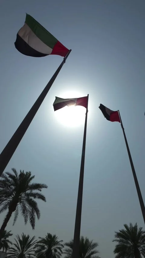 UAE flags waving in the air on March 2, 2026, as life resumes in the UAE after 動画素材 331451065
