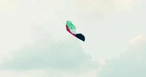 UAE Kite 스톡 동영상 185532546