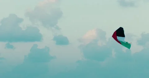 UAE Kite 스톡 동영상 185537185