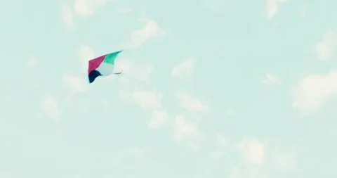 UAE Kite 스톡 동영상 185538484