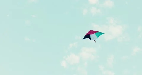 UAE Kite 스톡 동영상 185540357