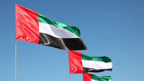 UAE national flags Stock Footage 70588681