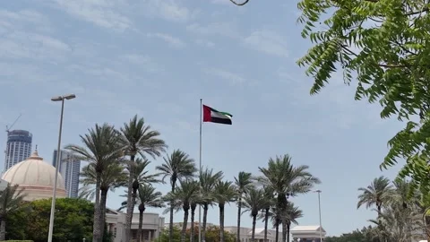 UAE - September 18, 2026 - UAE flag waving at the American University in Du.. Stock Footage 345778098