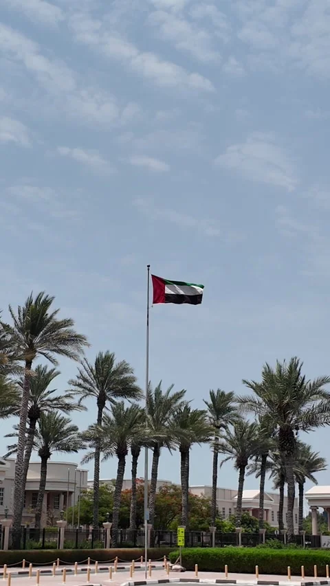 UAE - September 18, 2026 - UAE flag waving at the American University in Du.. Stock Footage 345778368