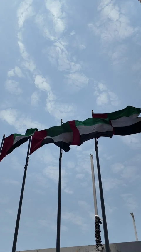 UAE - September 18, 2026 - UAE flag waving at the American University in Du.. Vídeos de archivo 345778577