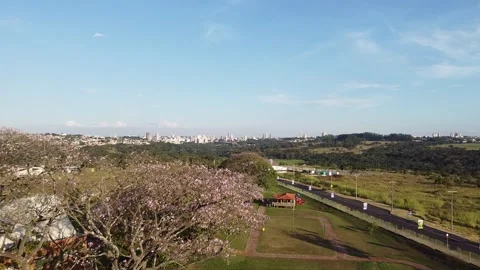 Uberaba vista do Parque das Barrigudas Stock Footage 153919169