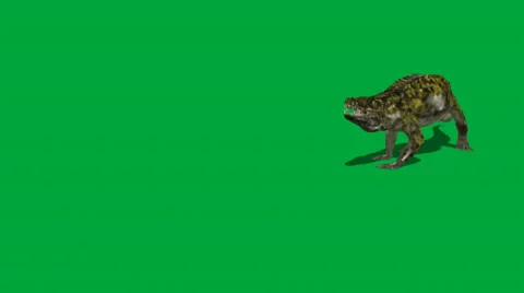 Uberabasuchus Video stock 32846504