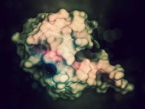 Ubiquitin protein molecule, 3D rendering. Ubiquitin is a molecul Stock Illustration