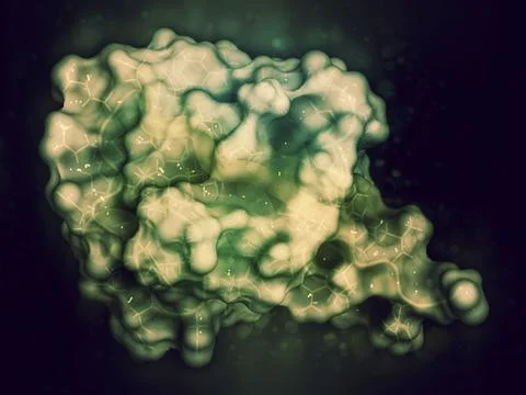 Ubiquitin protein molecule, 3D rendering. Stock Illustration