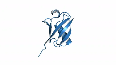Ubiquitin protein, rotating model Stock Footage 59834122