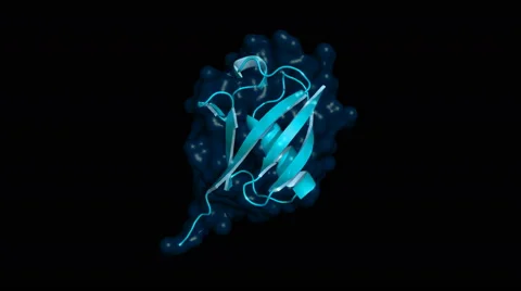 Ubiquitin protein, rotating molecule Stock Footage 65990461
