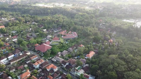Ubud 360 panorama Monkey Forest Stock Footage 329894992
