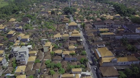 Ubud Bali AERIAL 스톡 동영상 101556586