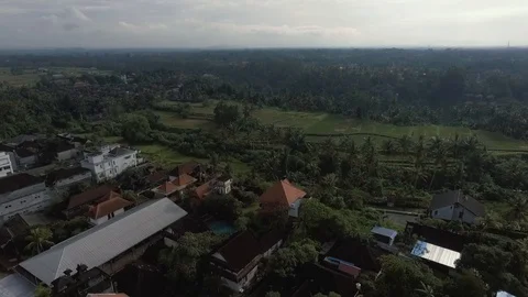 Ubud Bali Aerial Stock Footage 108741453