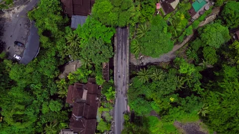 Ubud Bridge traffic over streaming river in jungle. Magic aerial view drone Stock Footage 344598686